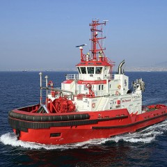 Comp Sanmar Borgoy 17